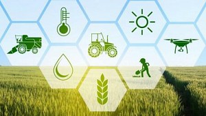 Sắp diễn ra tọa đàm “Phát triển nông nghiệp bền vững tại Thanh Hóa: Tiềm năng và Giải pháp”