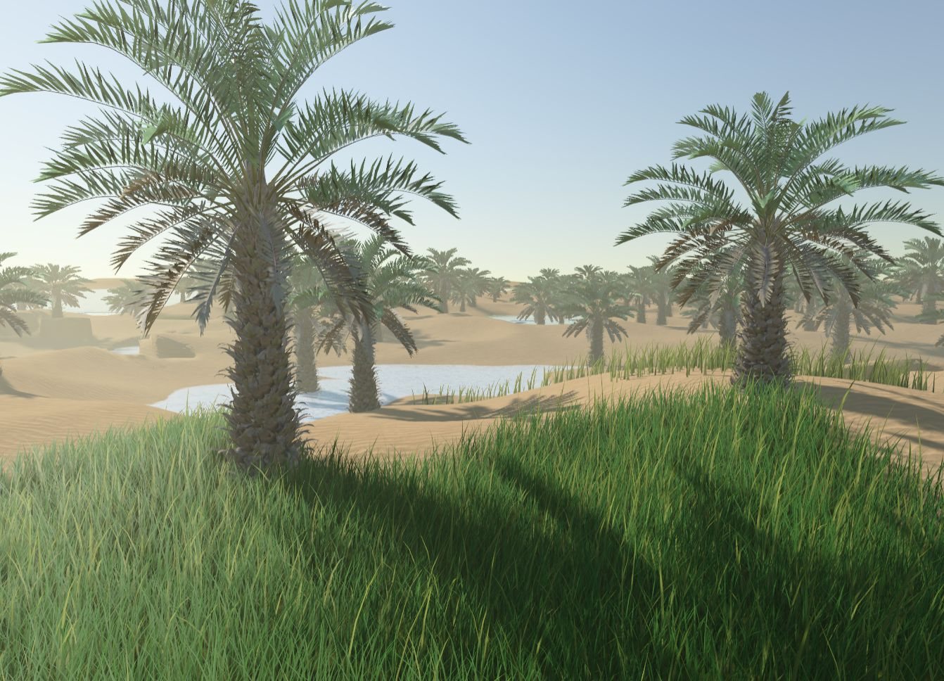Palm trees and tall grass around a desert oasis
